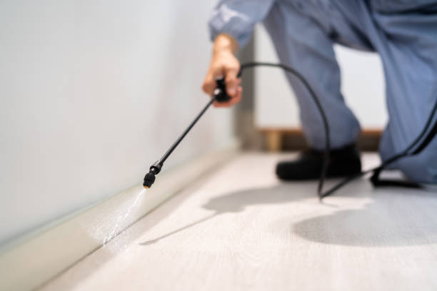 Licensed Termite Control service in Grayson County County, TX - Nex Pest Control