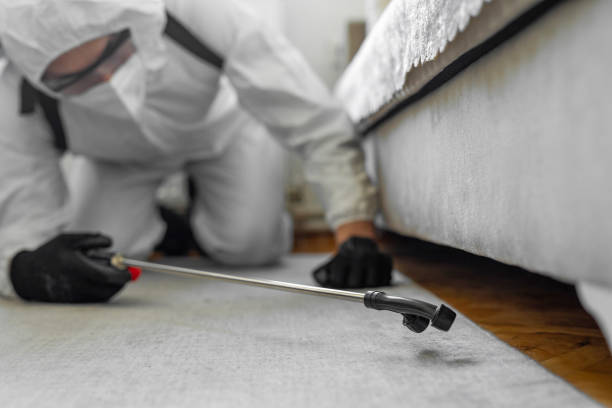 Professional Termite Control technician working in Grayson County County, TX
